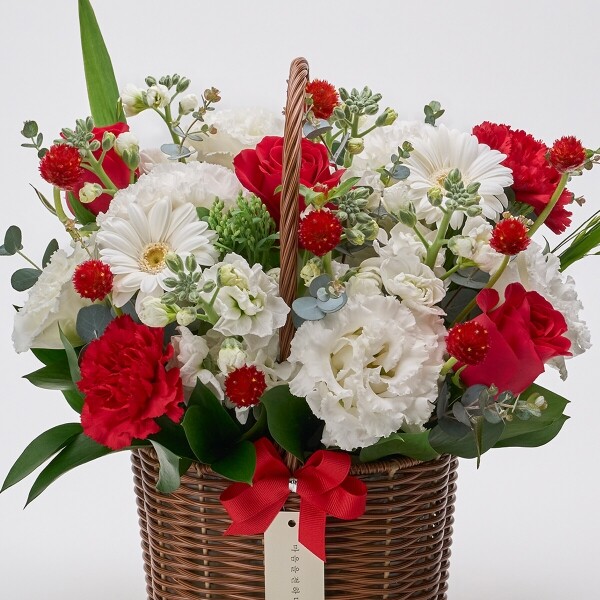 꽃집청년들,레드슈가