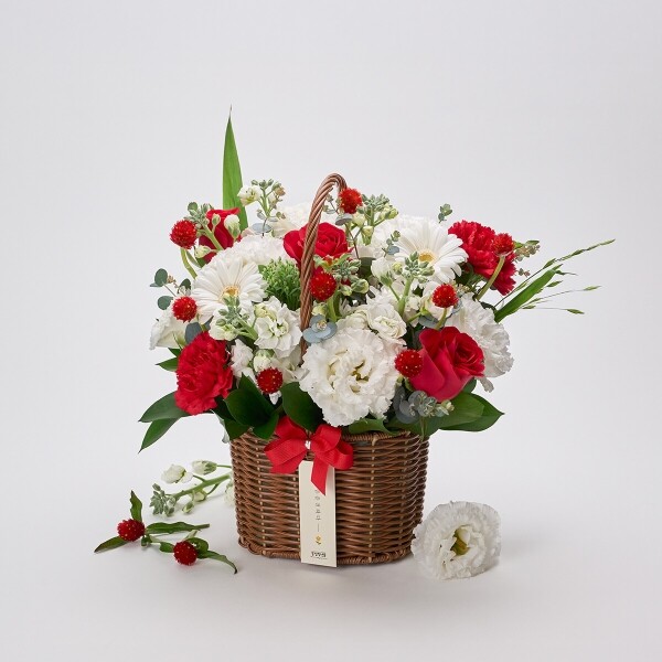 꽃집청년들,레드슈가