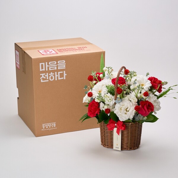 꽃집청년들,레드슈가