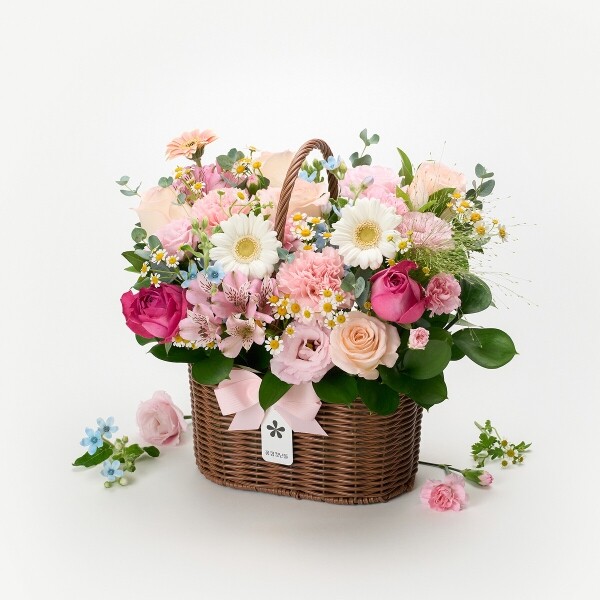 꽃집청년들,프라고나르