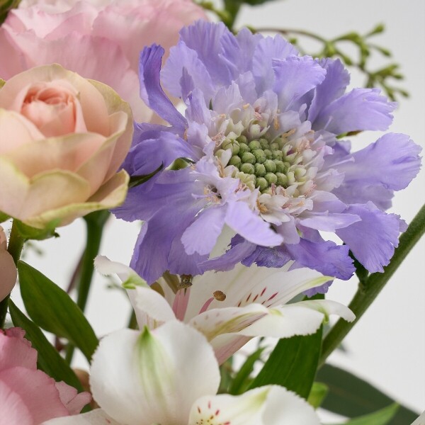 꽃집청년들,마이 유스, 퍼스트