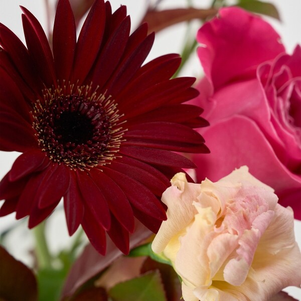 꽃집청년들,마이 유스, 인텐스