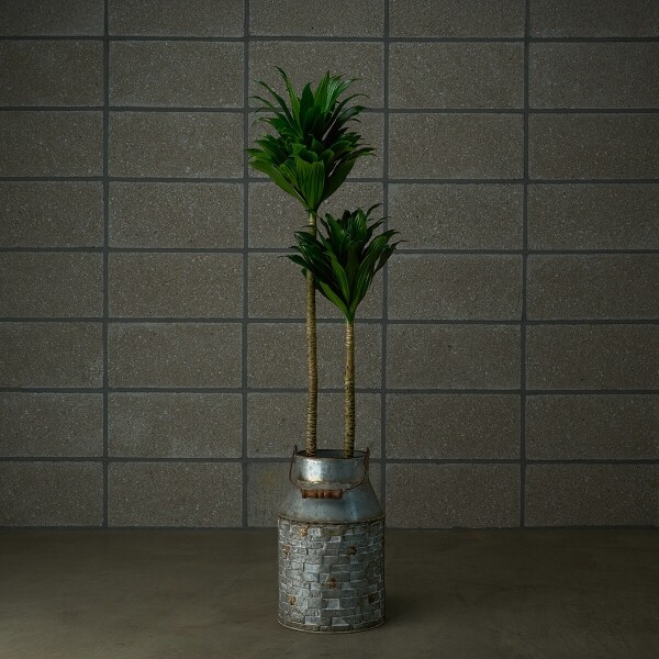 꽃집청년들,콤팩타 양동이 화분(서울한정)