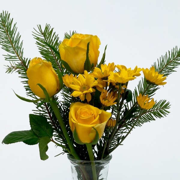 꽃집청년들,MIX S - 마이 유스 쿠폰 전용