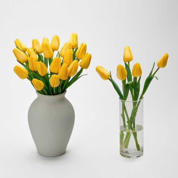 꽃집청년들,옐로우 튤립 5대