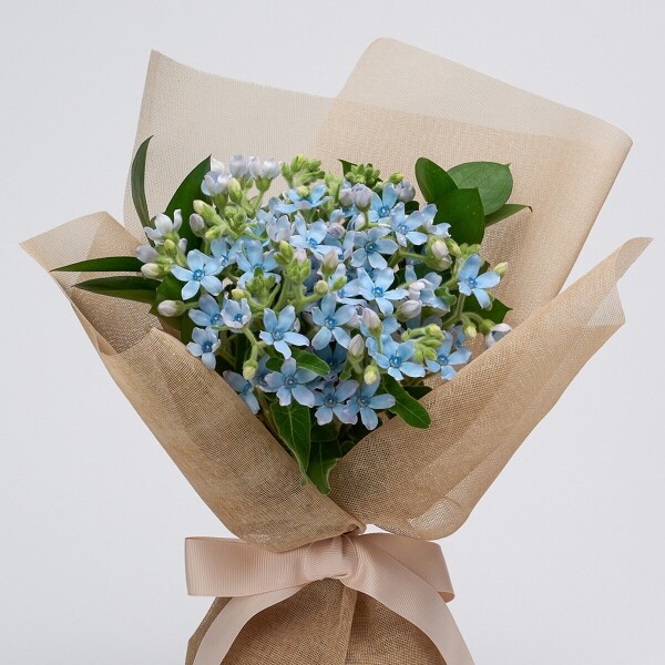 꽃집청년들,마이 유스, 리멤버