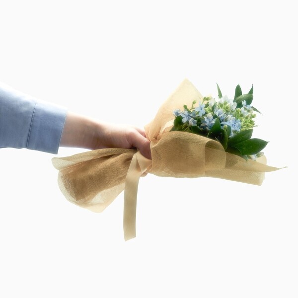 꽃집청년들,마이 유스, 리멤버