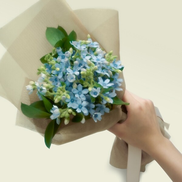 꽃집청년들,마이 유스, 리멤버