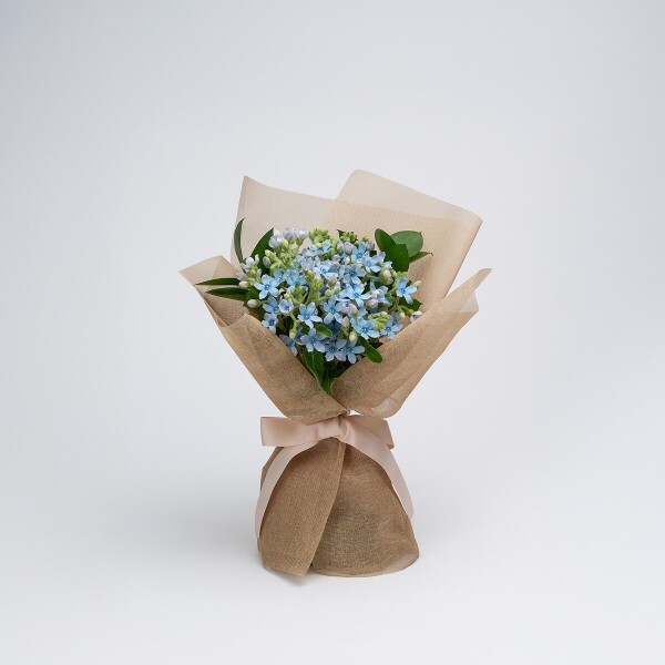 꽃집청년들,마이 유스, 리멤버