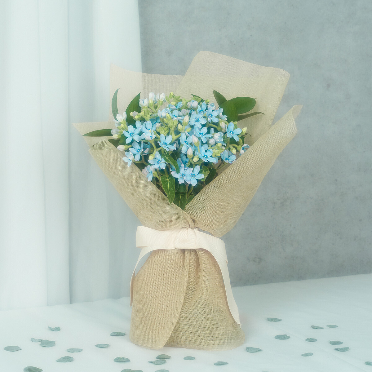 꽃집청년들,마이 유스, 리멤버