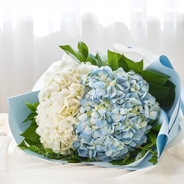 꽃집청년들,생일 꽃다발, 출산 꽃바구니, 전국 꽃배달 서비스, 당일 꽃 배달, 결혼기념일선물