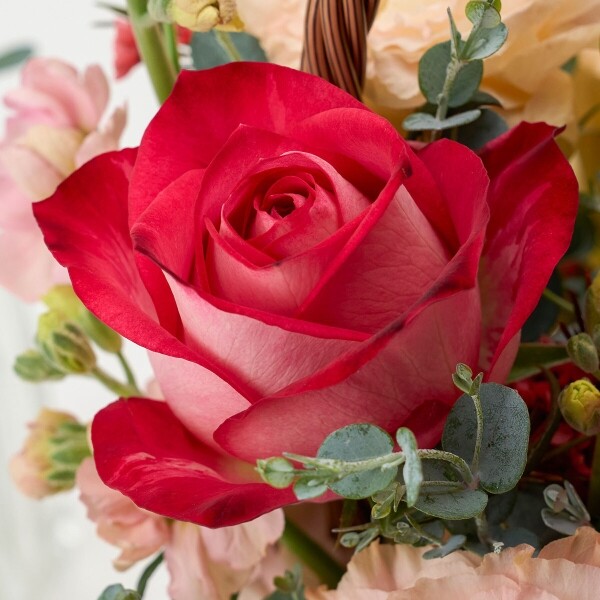 꽃집청년들,윈드베리