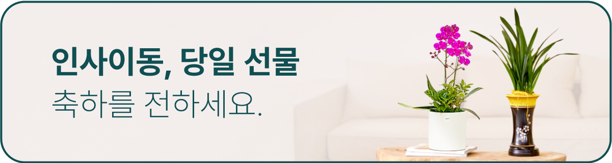 인사이동