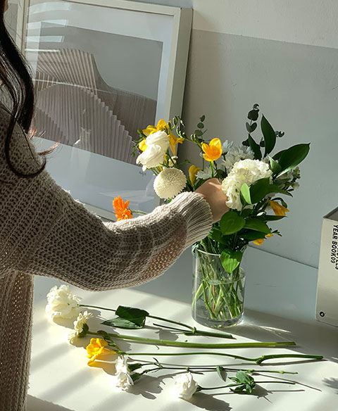 프리지아 절화 및 화분 관리 방법