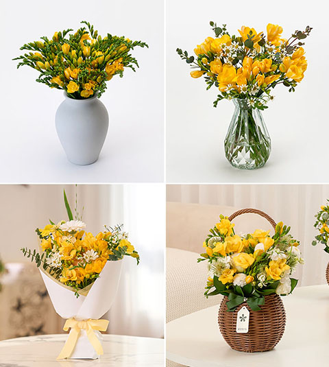 프리지아와 잘 어울리는 꽃, 꽃다발, 꽃바구니