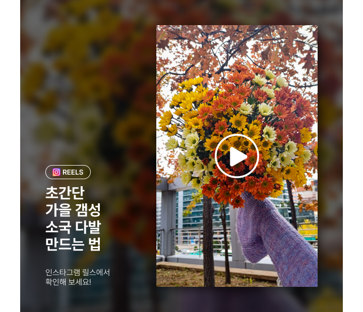 인스타그램-가을 갬성 소국 다발 만드는법