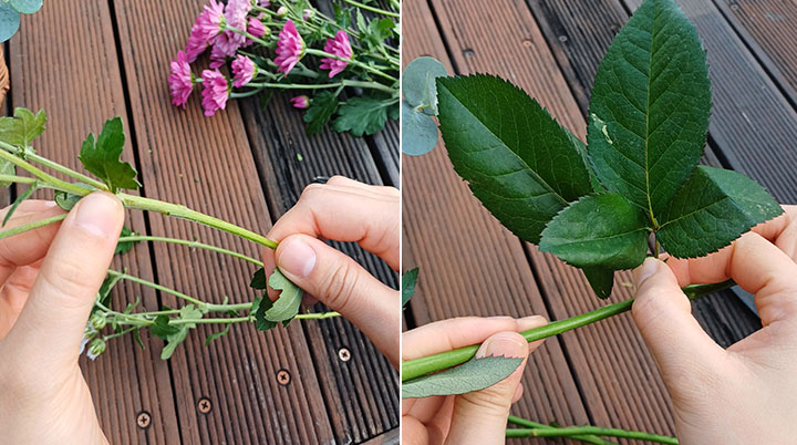 가을국화 소국 꽃 다듬기