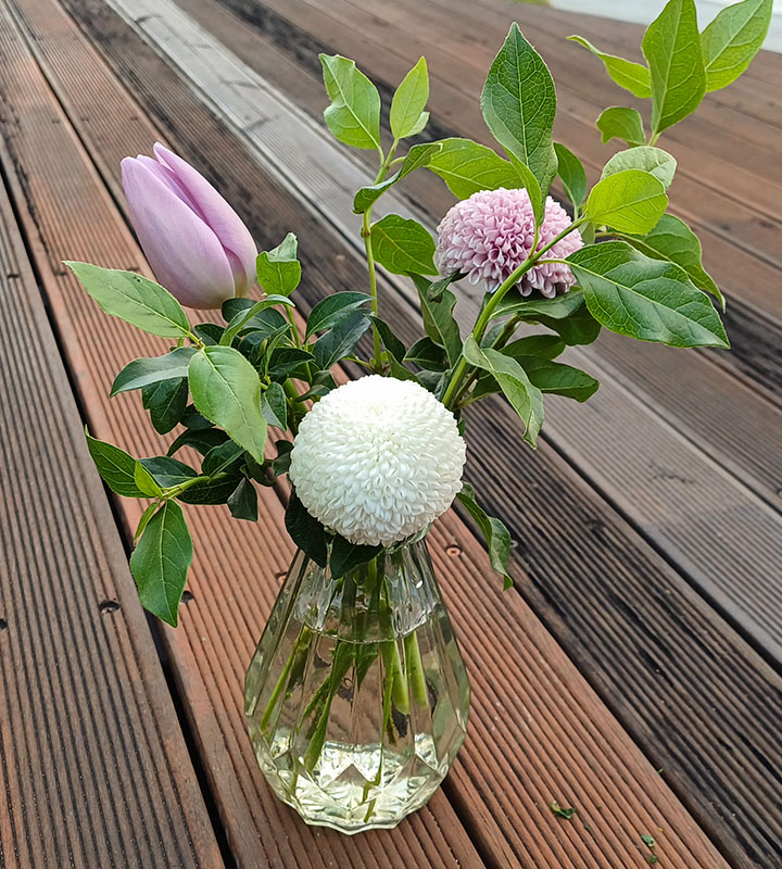  바이올렛 폼폰 국화를 화병에 꽂기