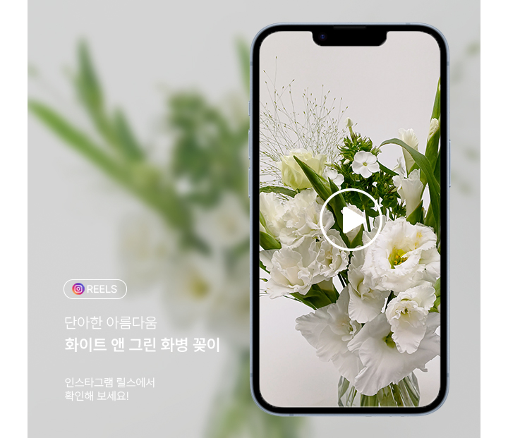 꽃집청년들 여름에 시원한 연출 가능한 화이트앤그린 화병꽂이(동영상)