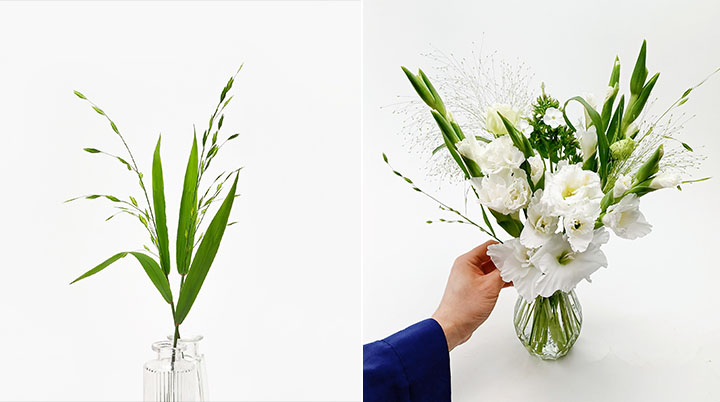 여름 그린소재, 보리사초