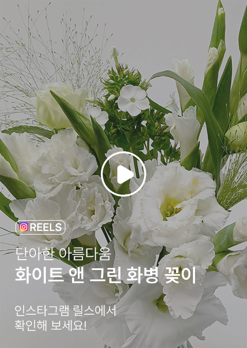 꽃집청년들 여름에 시원한 연출 가능한 화이트앤그린 화병꽂이(동영상)