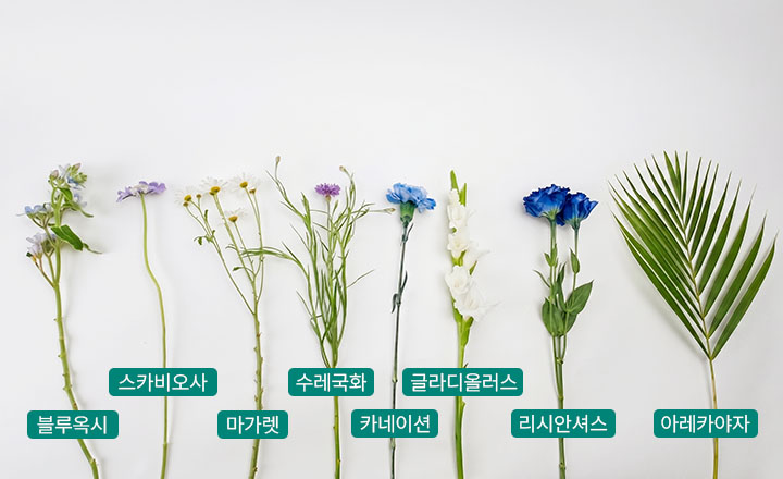 꽃집청년들 블루 앤 화이트 화병꽂이 준비물
