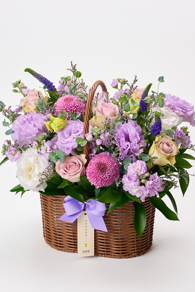 바이올렛 세이즈